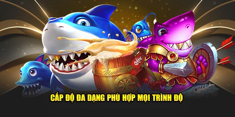 Cấp độ đa dạng phù hợp mọi trình độ